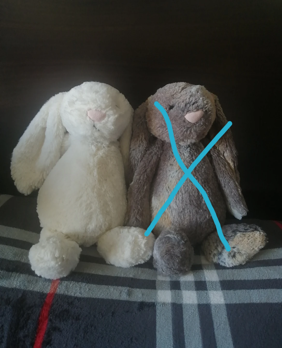 Jellycat woodland bashful bunny