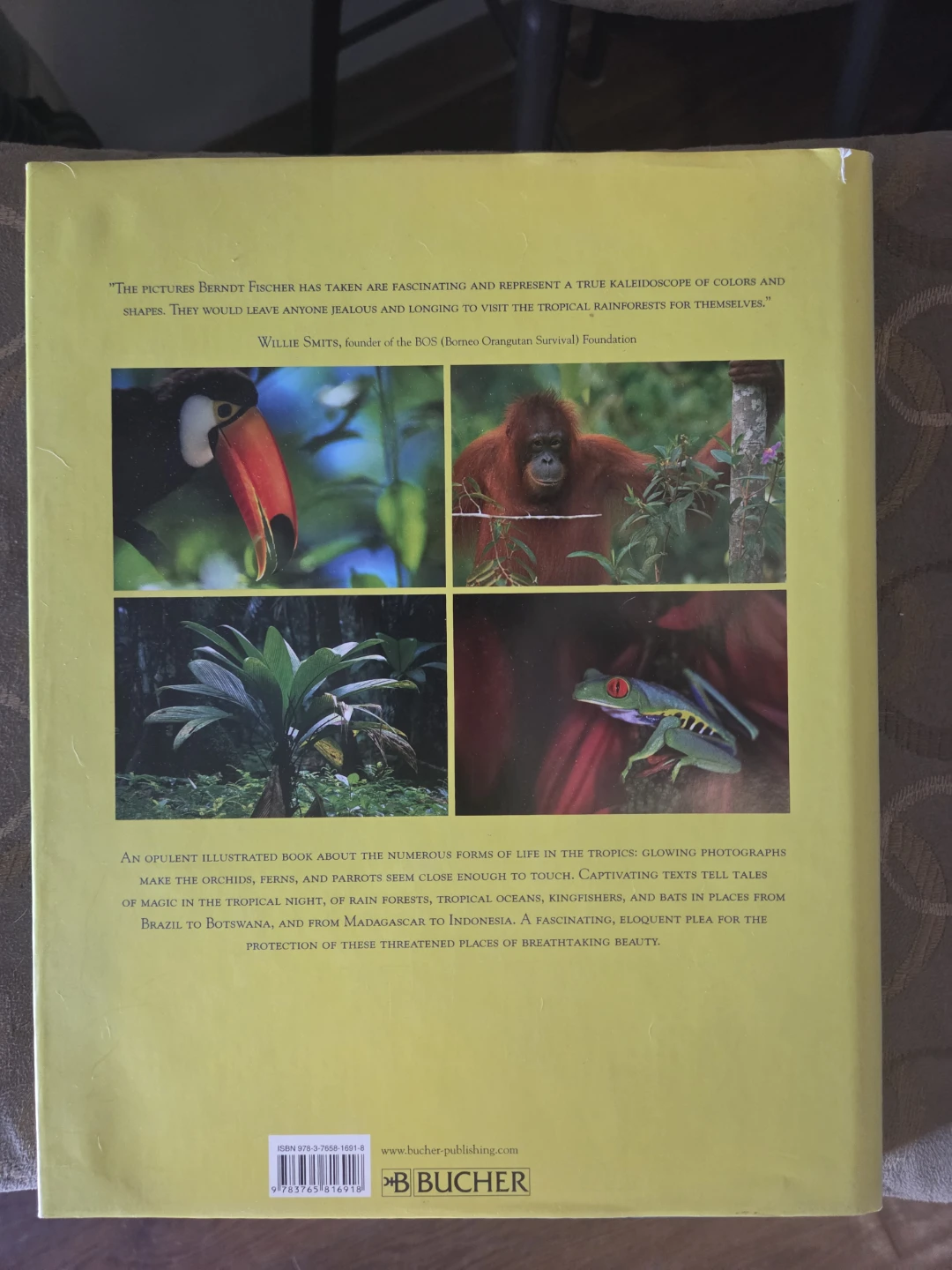 Colors of the Tropics: Eden on the Equator Book - photo 2