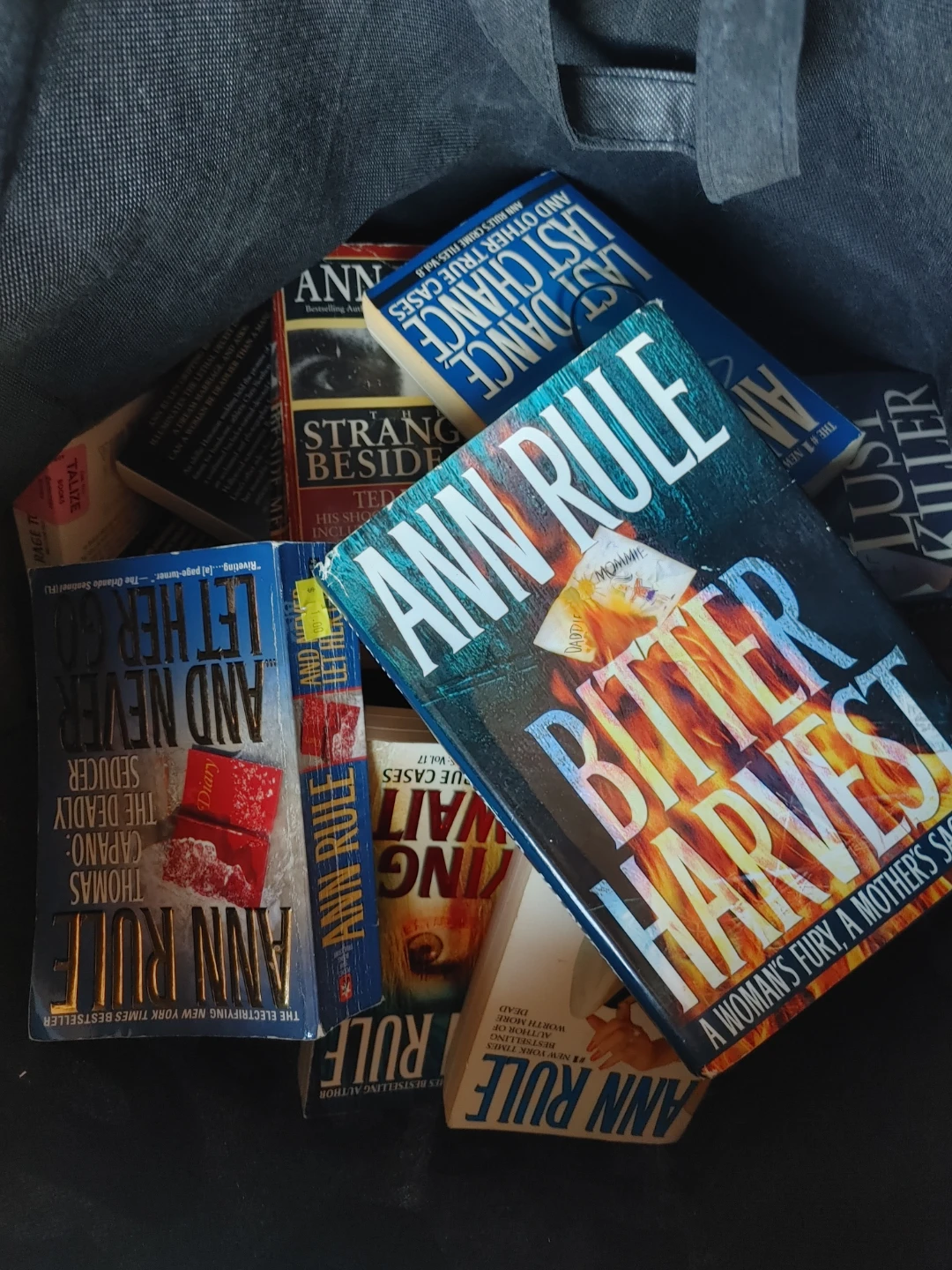 Collection of Ann Rule True Crime Books