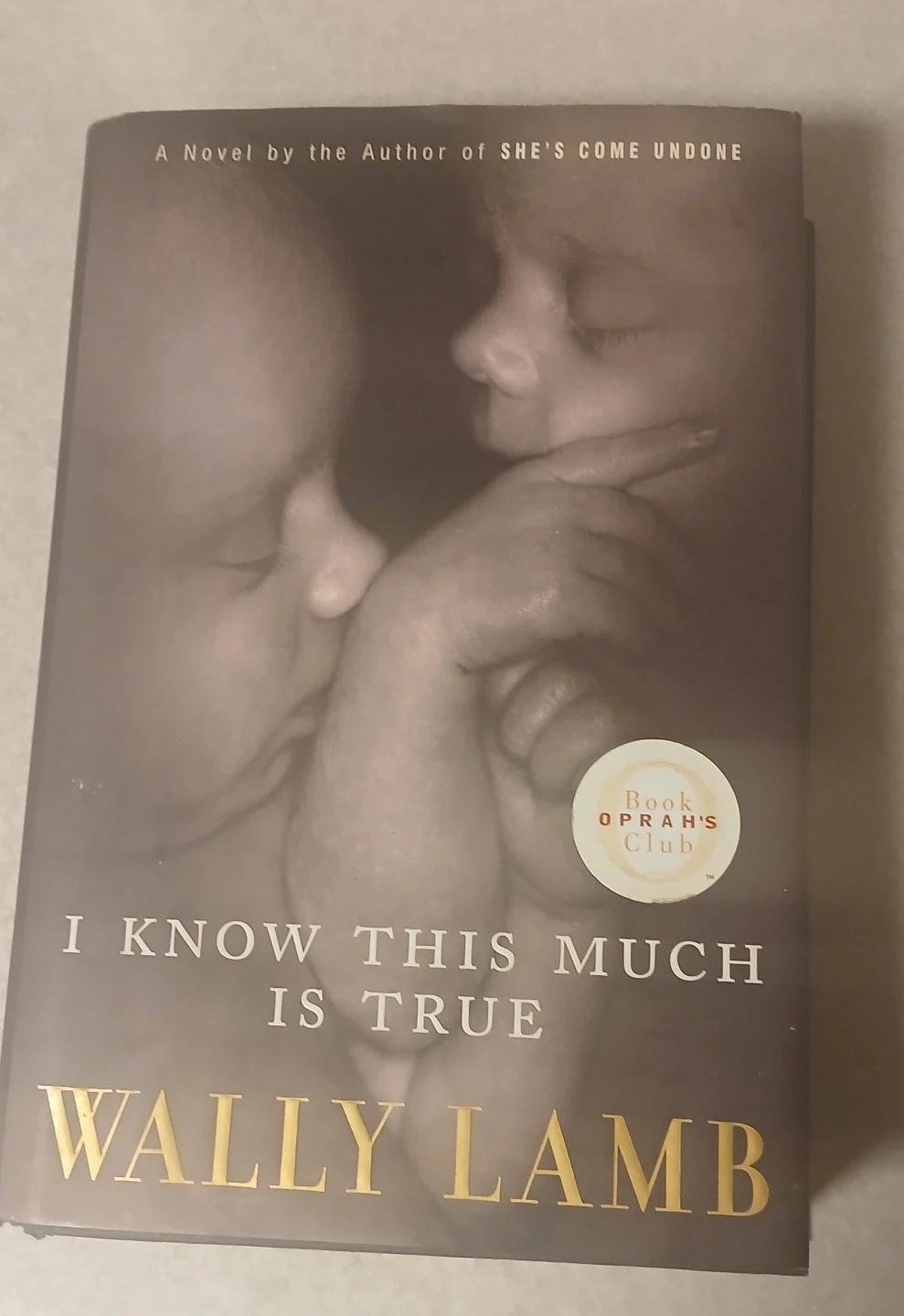 I Know This Much Is True by Wally Lamb Novel