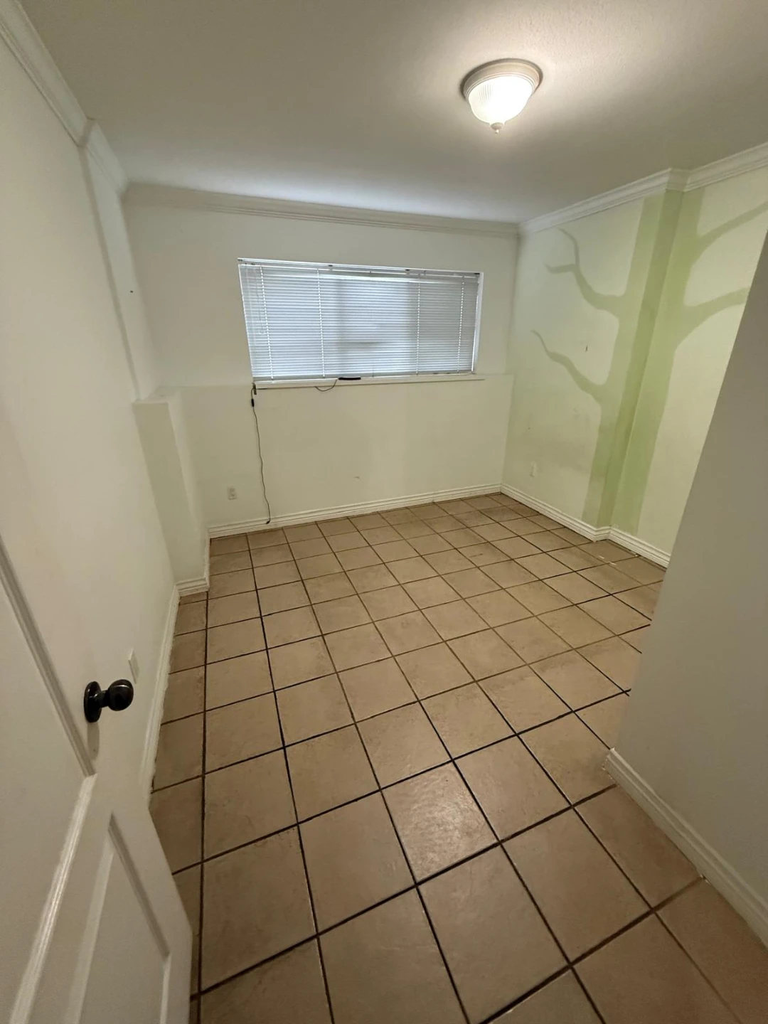 Basement for Rent - photo 4