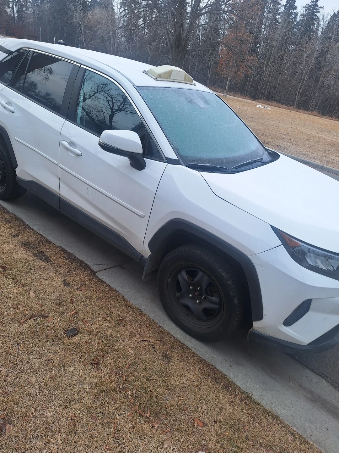 White Toyota RAV4 - photo 4