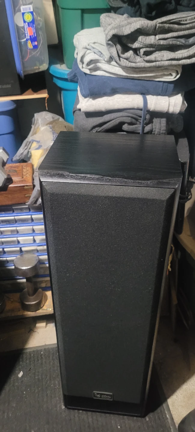 Infinity Floorstanding Speaker - photo 2