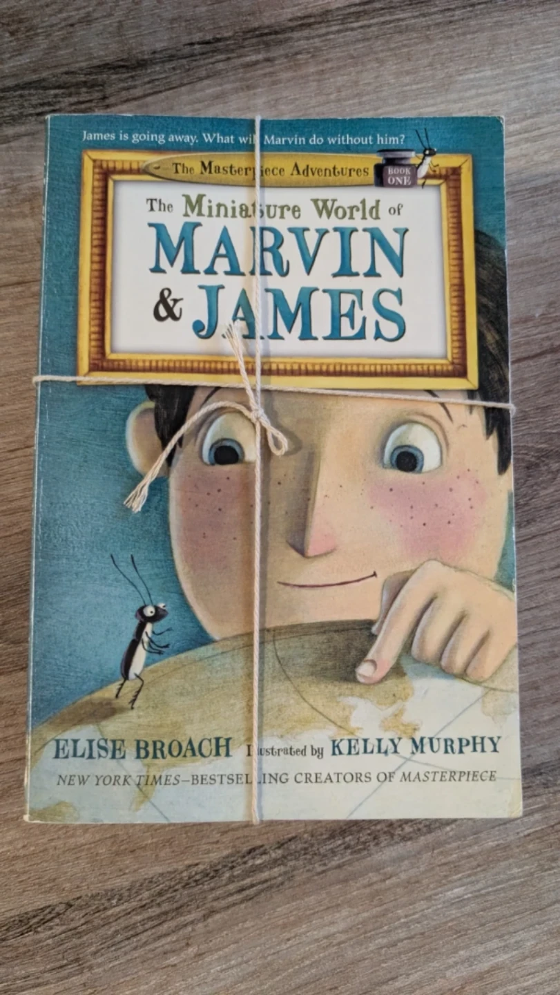 Marvin & James Book Series