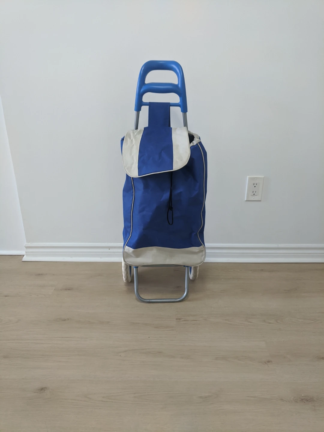 Blue Shopping Cart Trolley