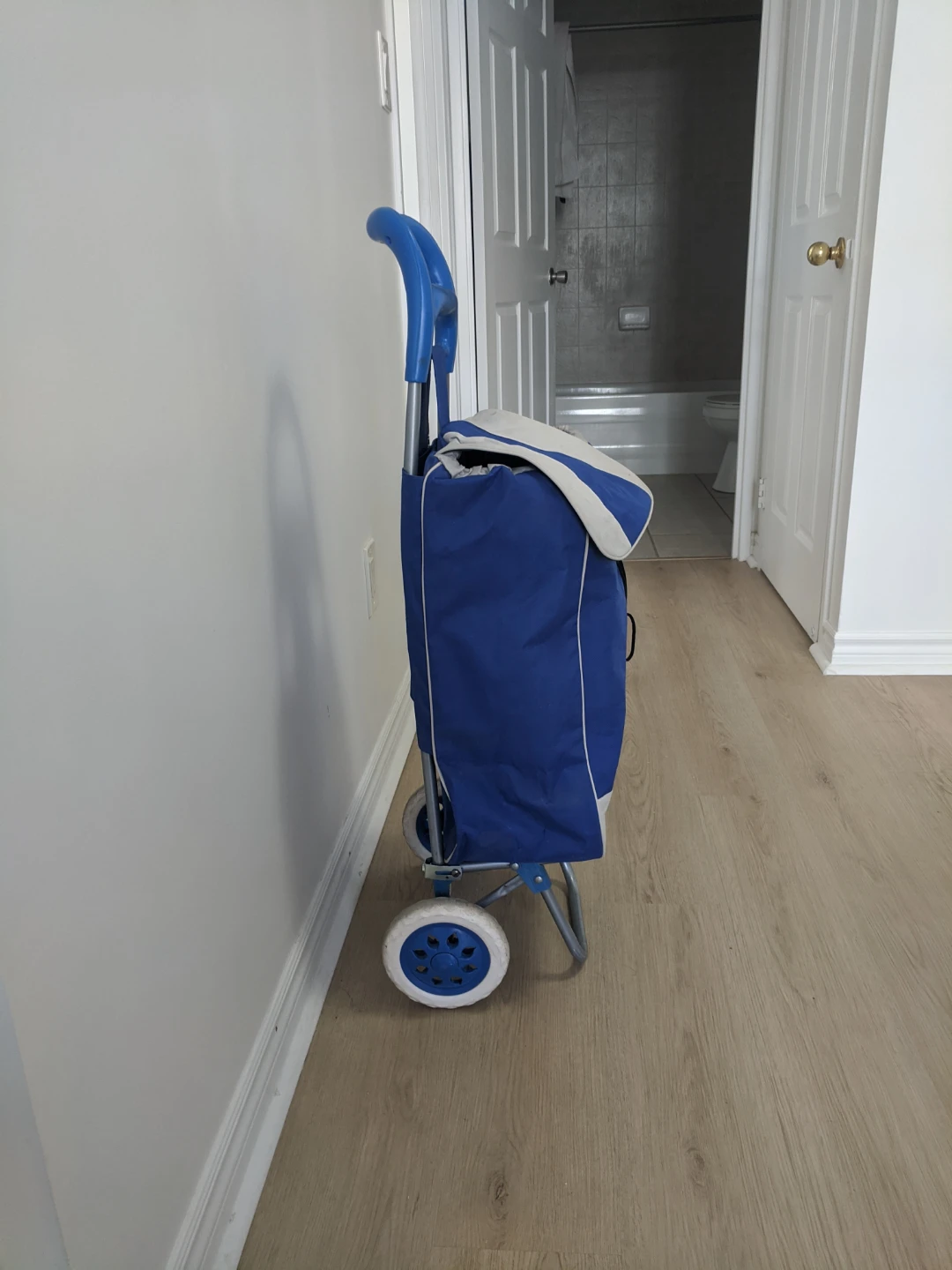 Blue Shopping Cart Trolley - photo 2