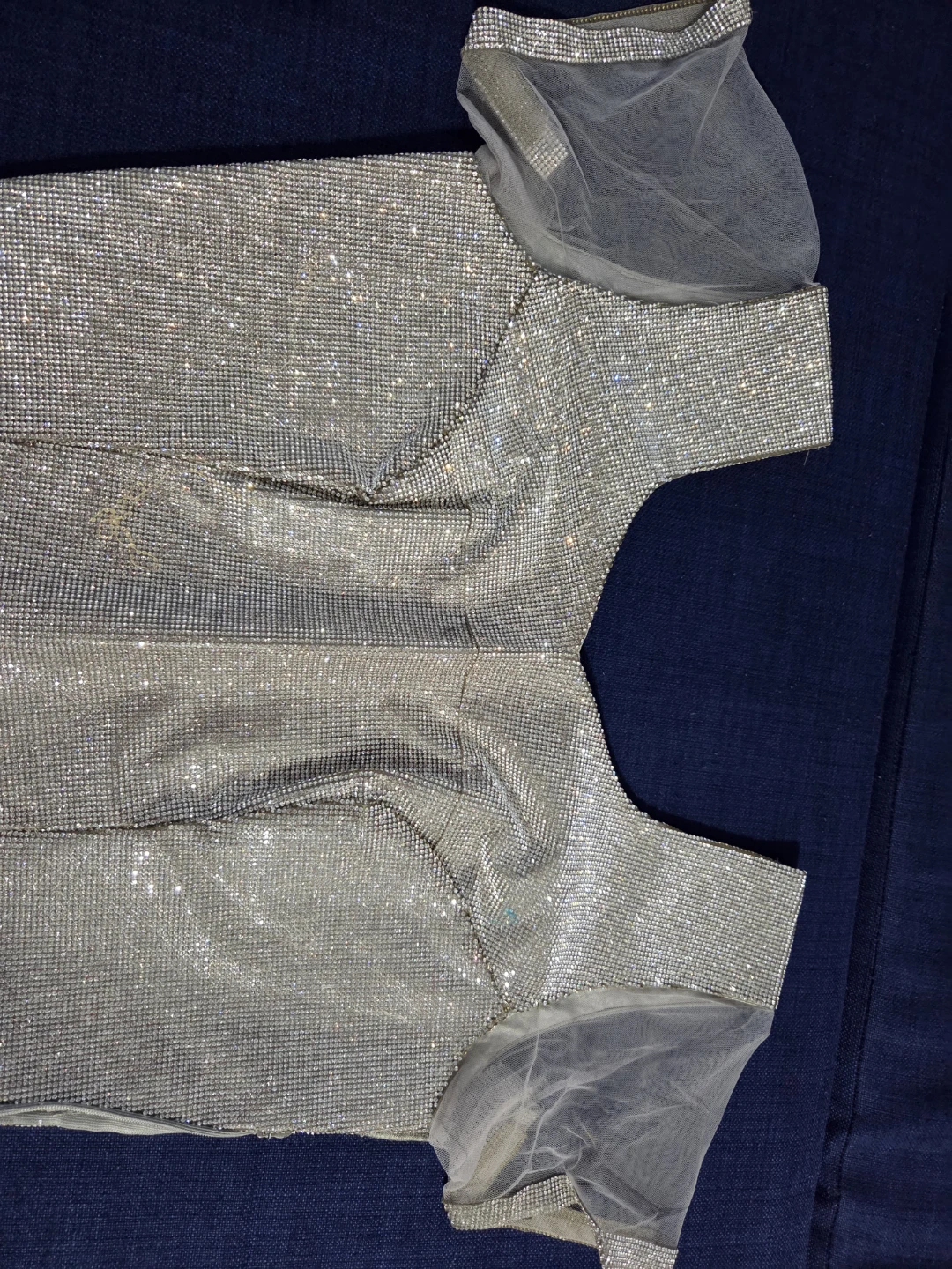 Sparkly Grey Saree with Embellished Blouse - photo 5