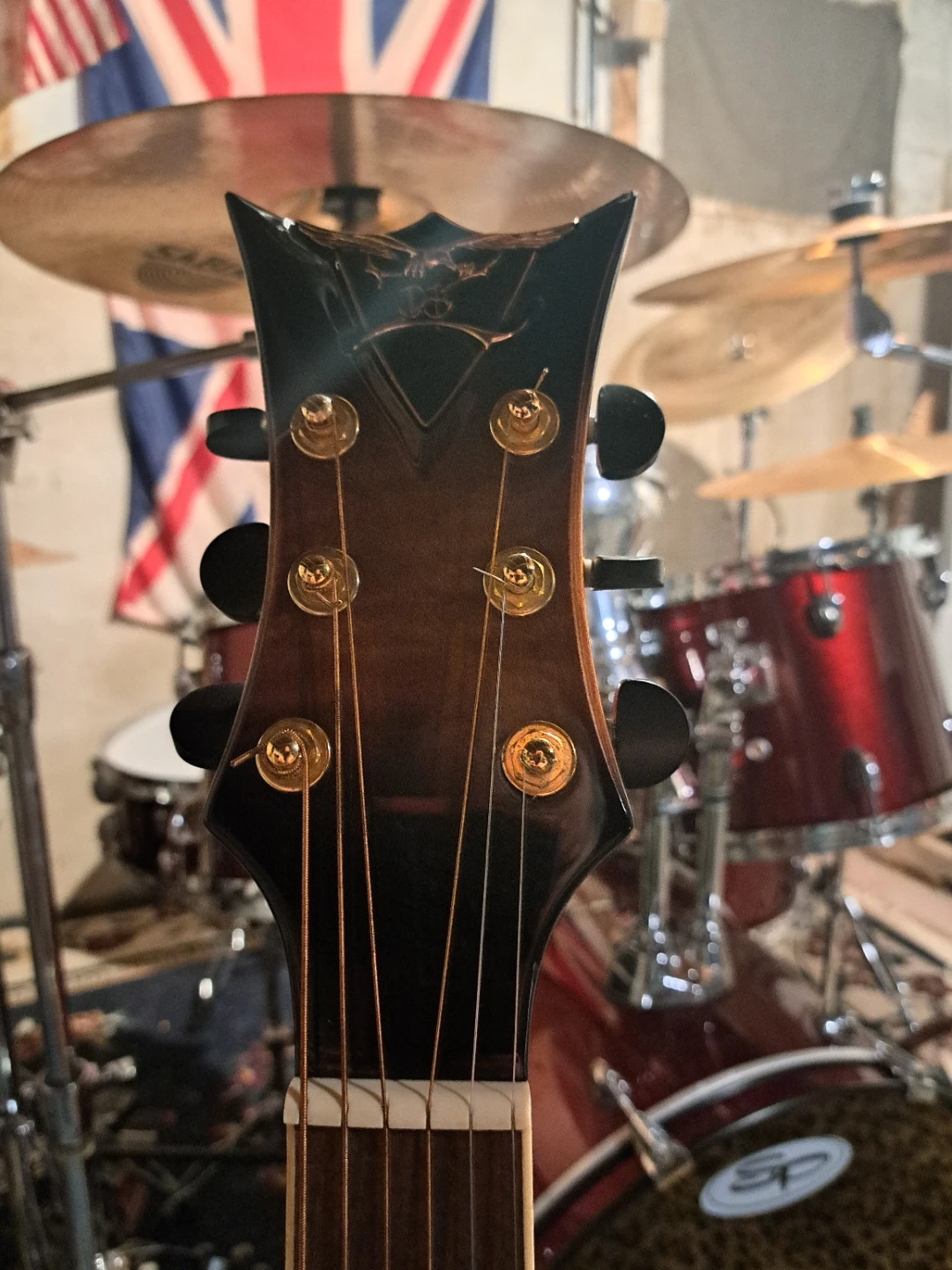 DBZ Tuscon Acoustic Electric Guitar and Case - photo 3