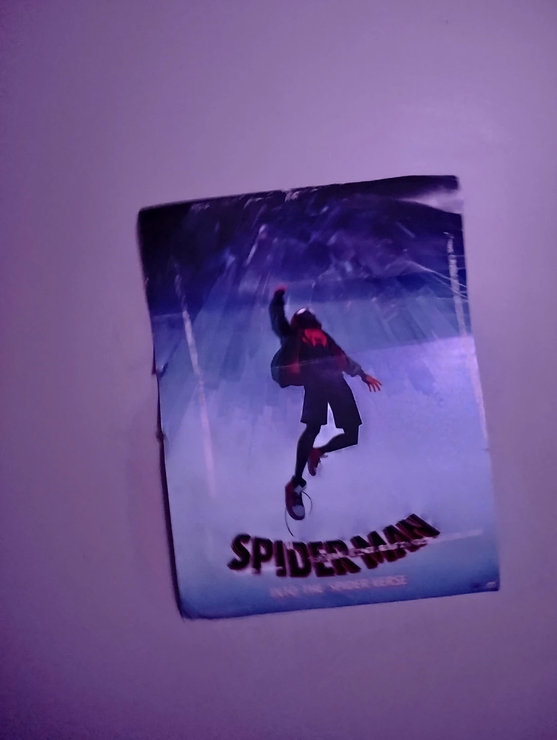 Spider-Man Into The Spider-Verse Poster