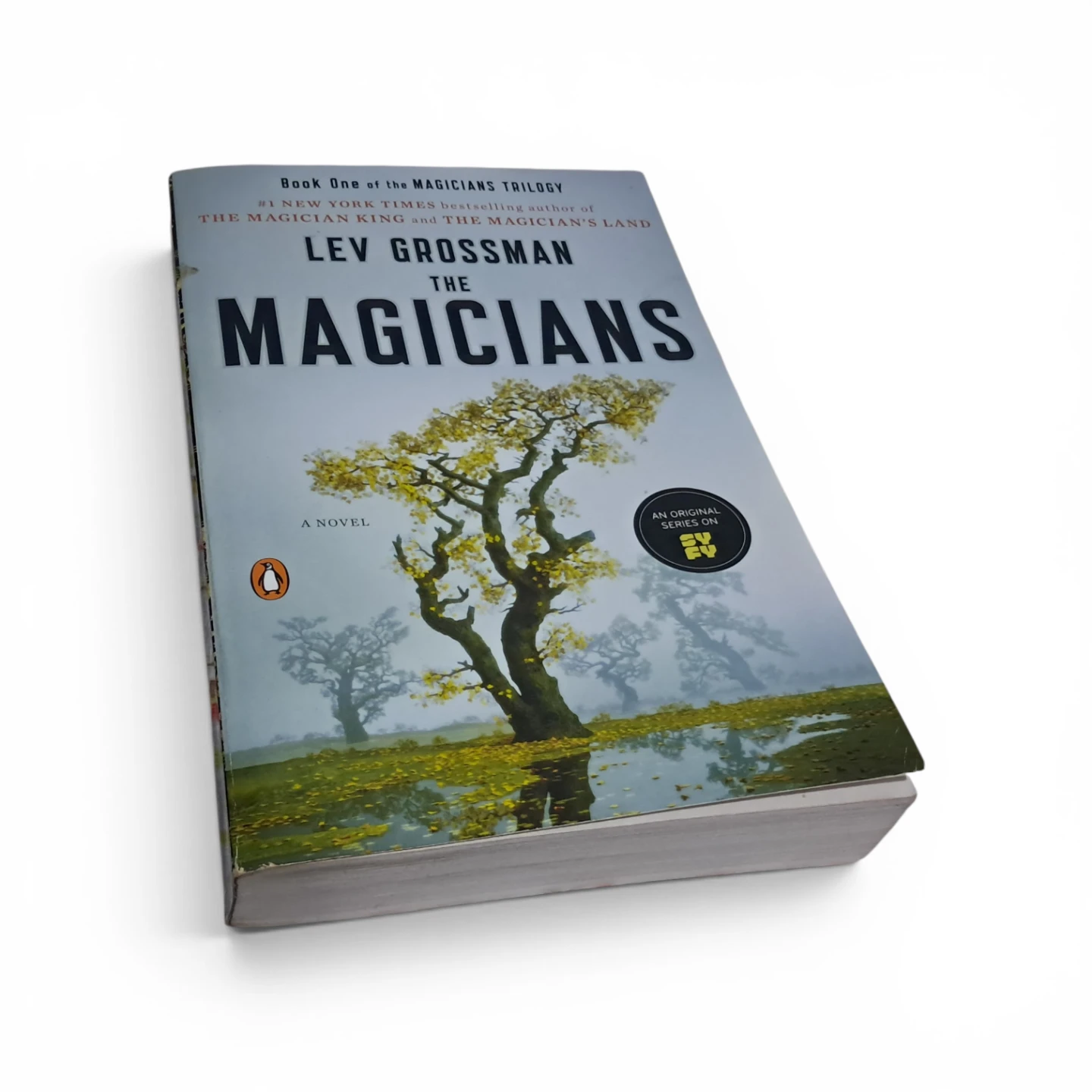 The Magicians: Book One of The Magicians Trilogy by Lev Grossman