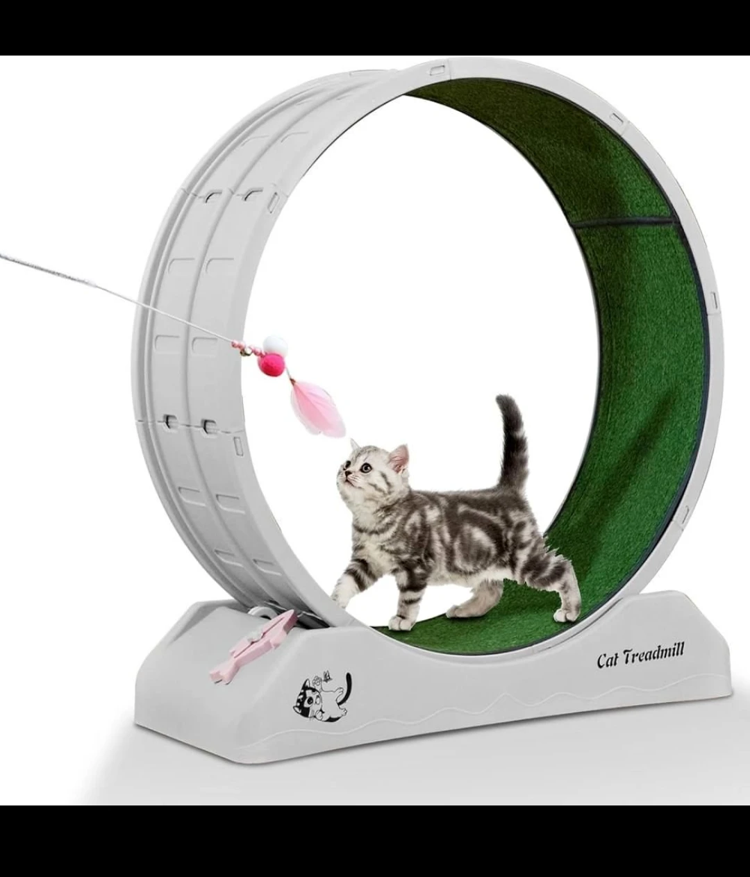 Active cat treadmill exercise wheel for your feline friend❣️😻🐾🙌