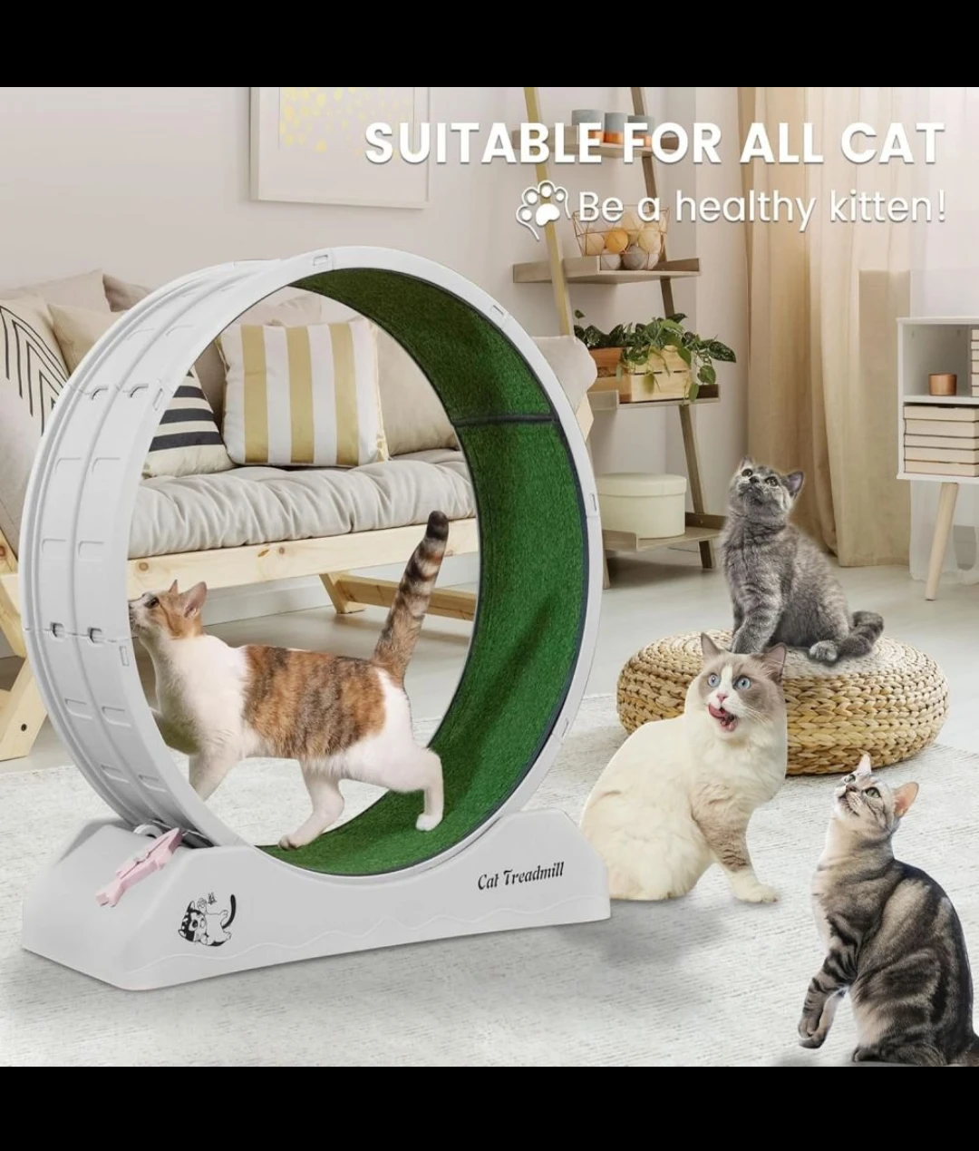 Active cat treadmill exercise wheel for your feline friend❣️😻🐾🙌 - photo 2