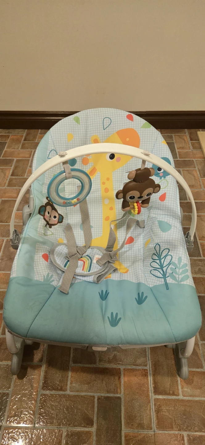 Fisher-Price Giraffe Baby Bouncer $25 - photo 2