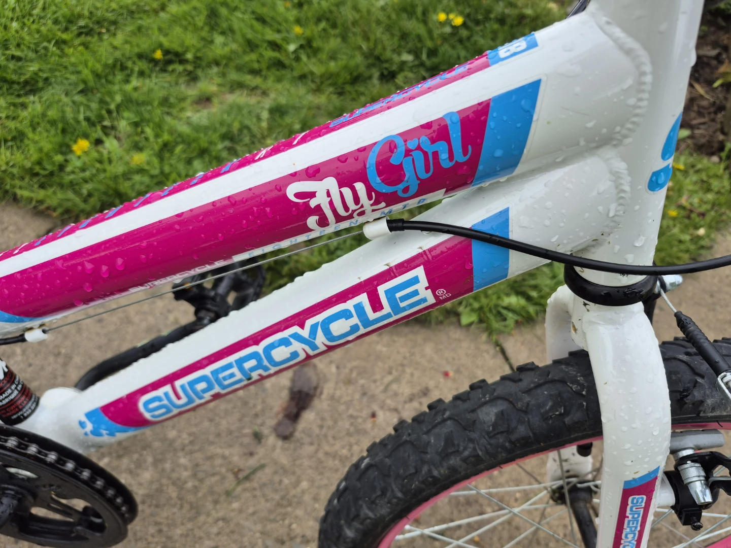 Supercycle Fly Girl Kids Bike - photo 4