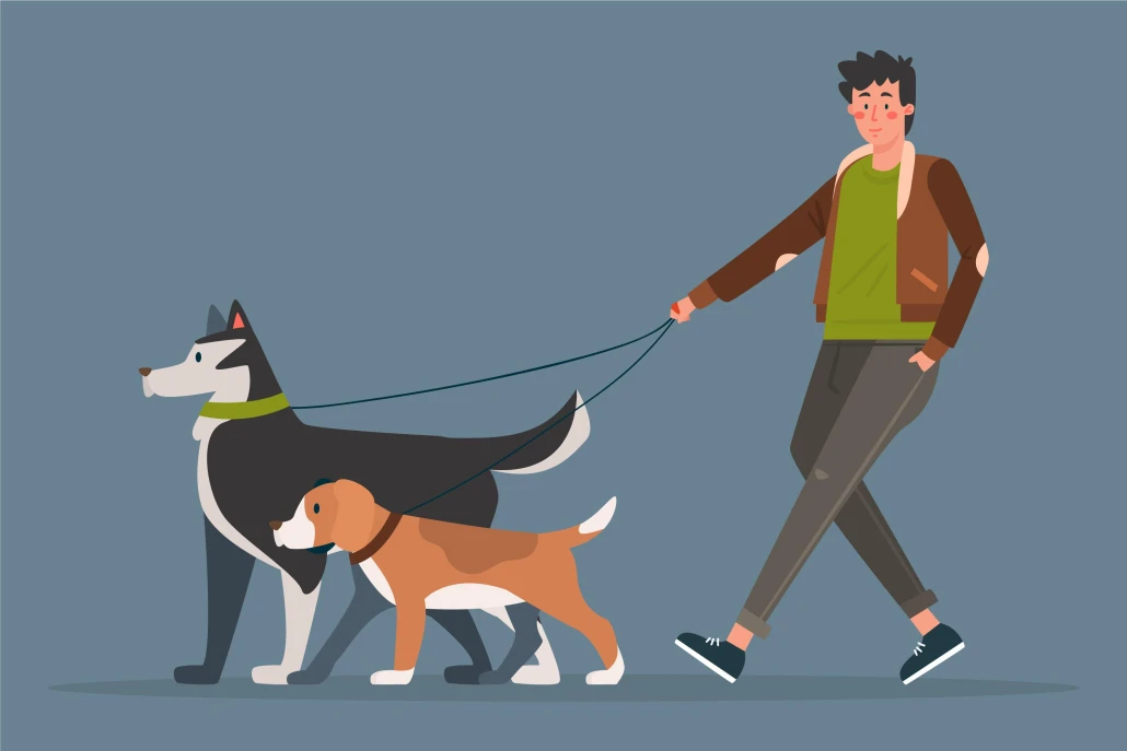 Dog Walking Service