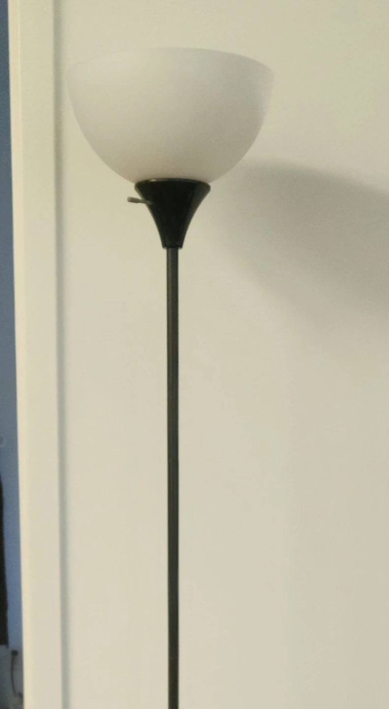 Free Black Floor Lamp with White Frosted Shade - photo 2