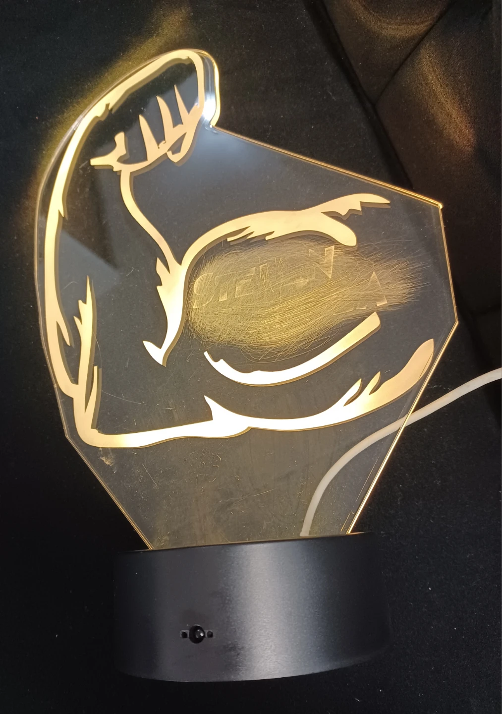 LED Arm Lamp - photo 5