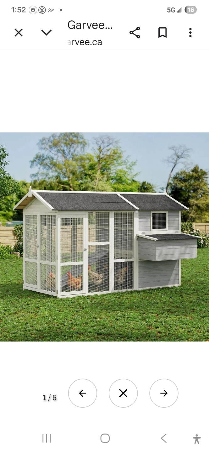 Garvee Chicken Coop with Nesting Box and Pull-Out Tray