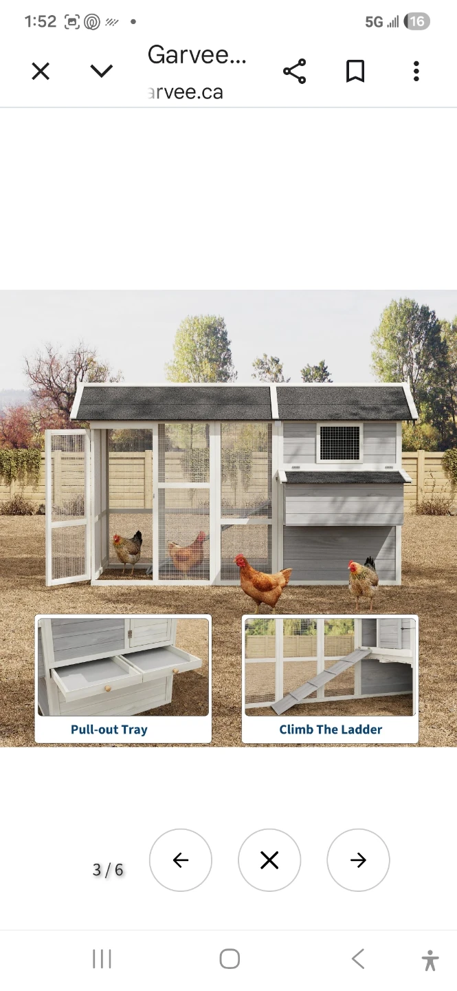 Garvee Chicken Coop with Nesting Box and Pull-Out Tray - photo 3