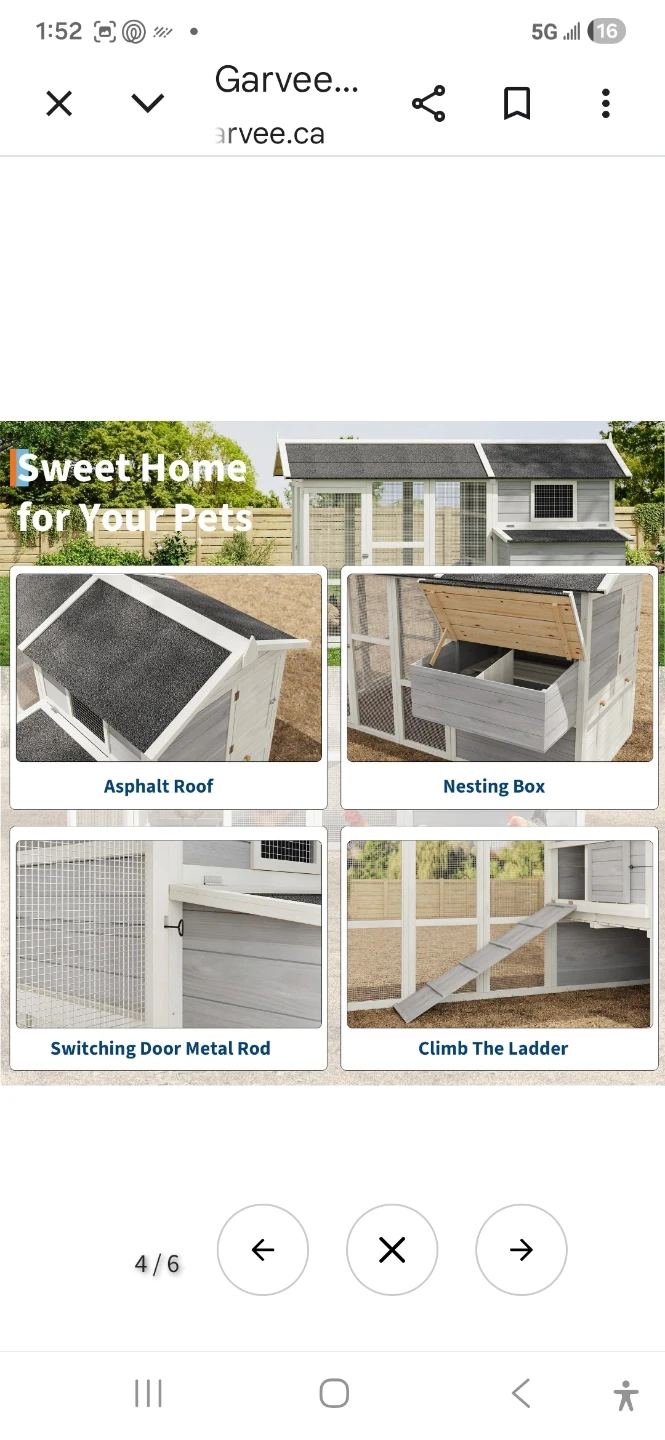 Garvee Chicken Coop with Nesting Box and Pull-Out Tray - photo 4
