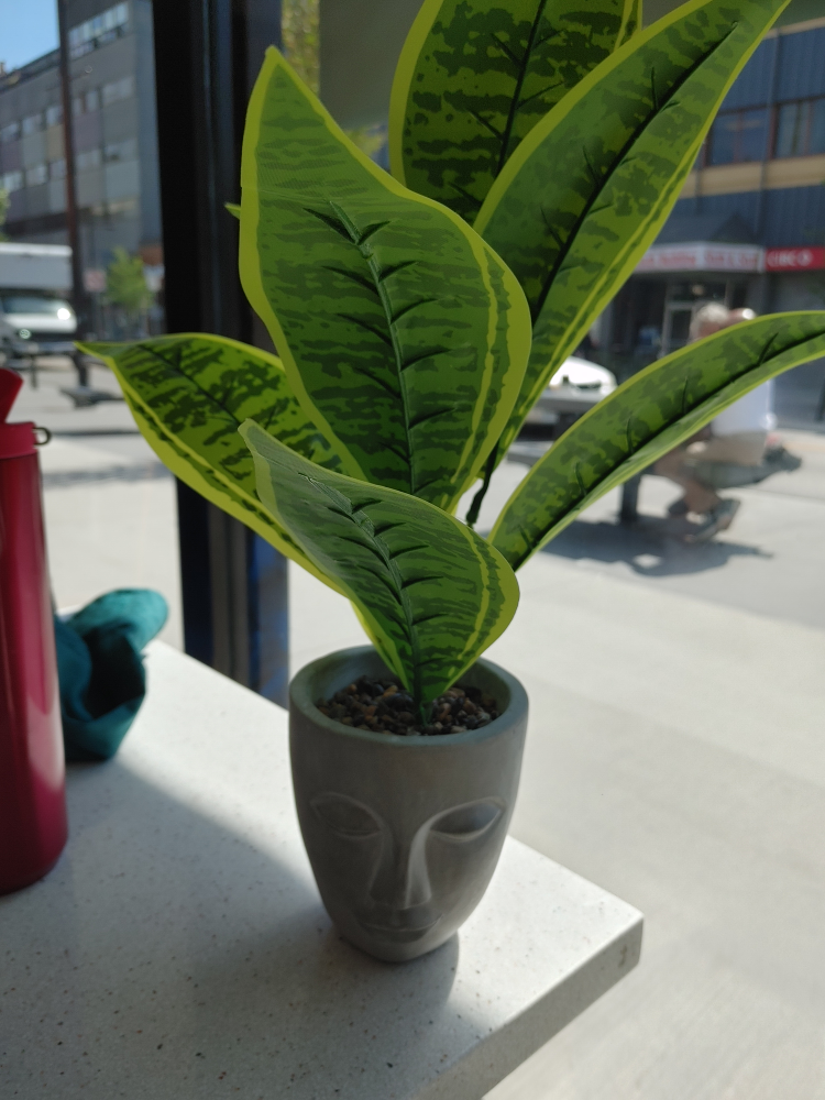 Artificial  Plant in Face Pot New