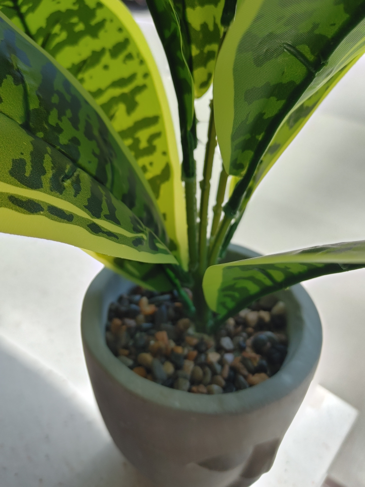 Artificial  Plant in Face Pot New - photo 5