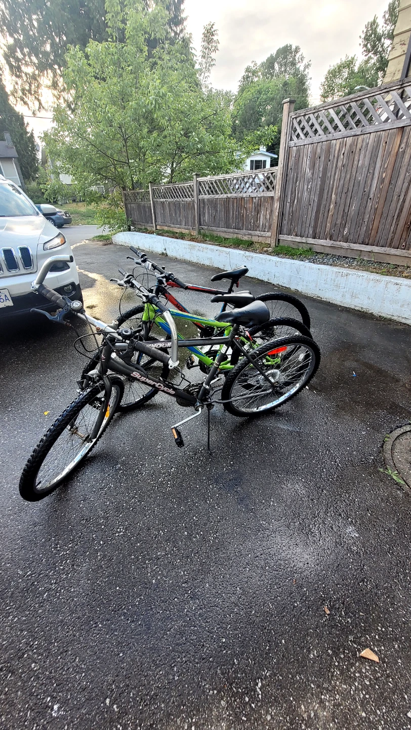 3 bikes for 150