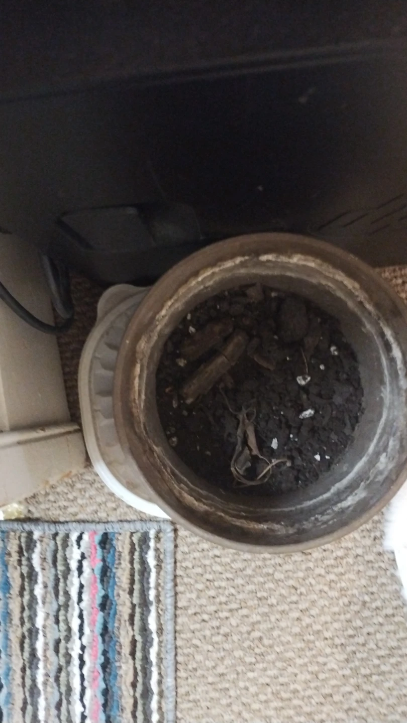 Used Plant Pot