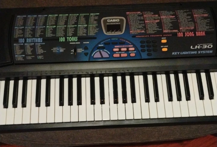 Casio LK-30 Key Lighting System Electronic Keyboard - photo 2