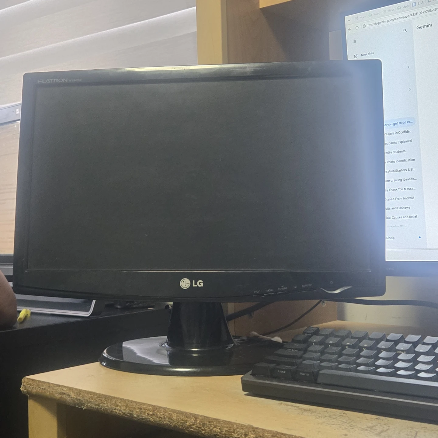 LG Monitor