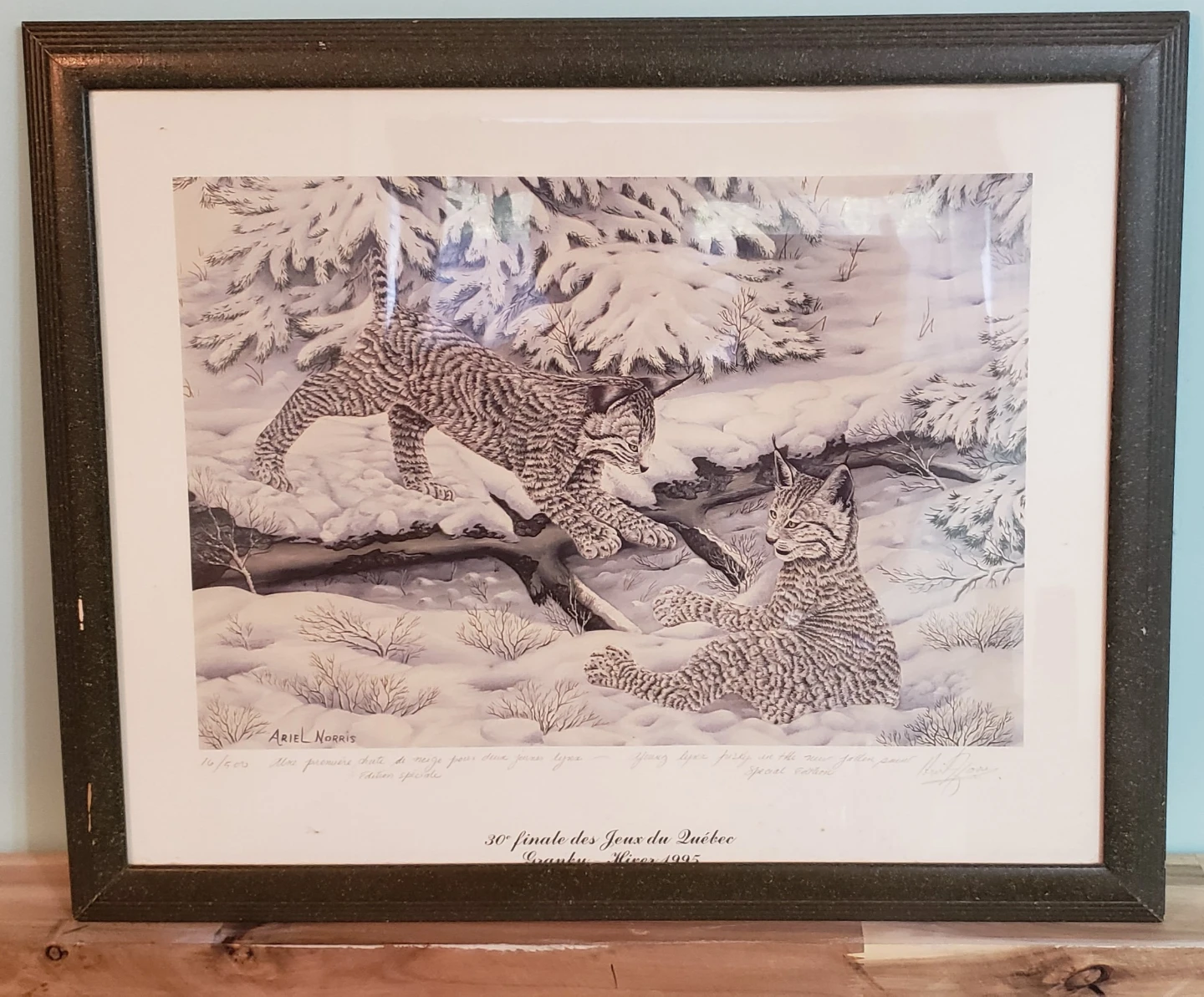 Framed Art Prints - Winter Wildlife & Scenic Landscapes