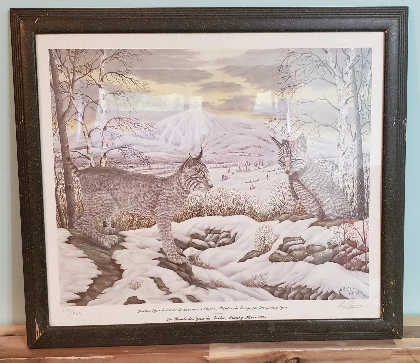 Framed Art Prints - Winter Wildlife & Scenic Landscapes - photo 2