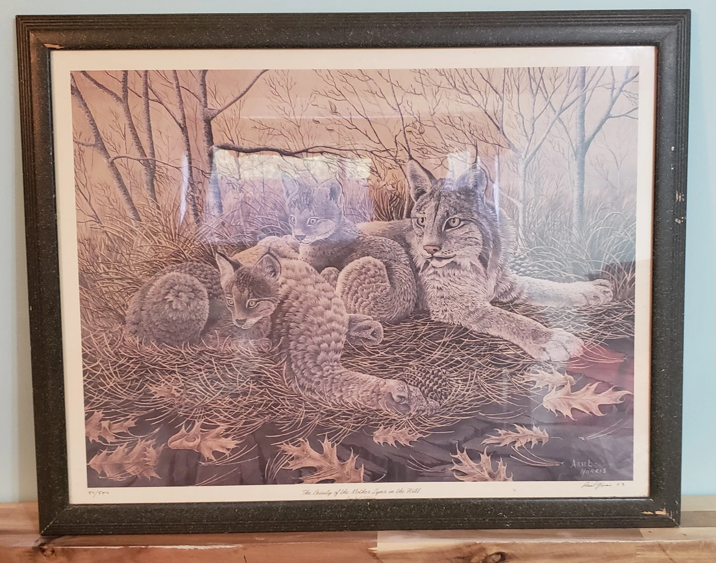 Framed Art Prints - Winter Wildlife & Scenic Landscapes - photo 3