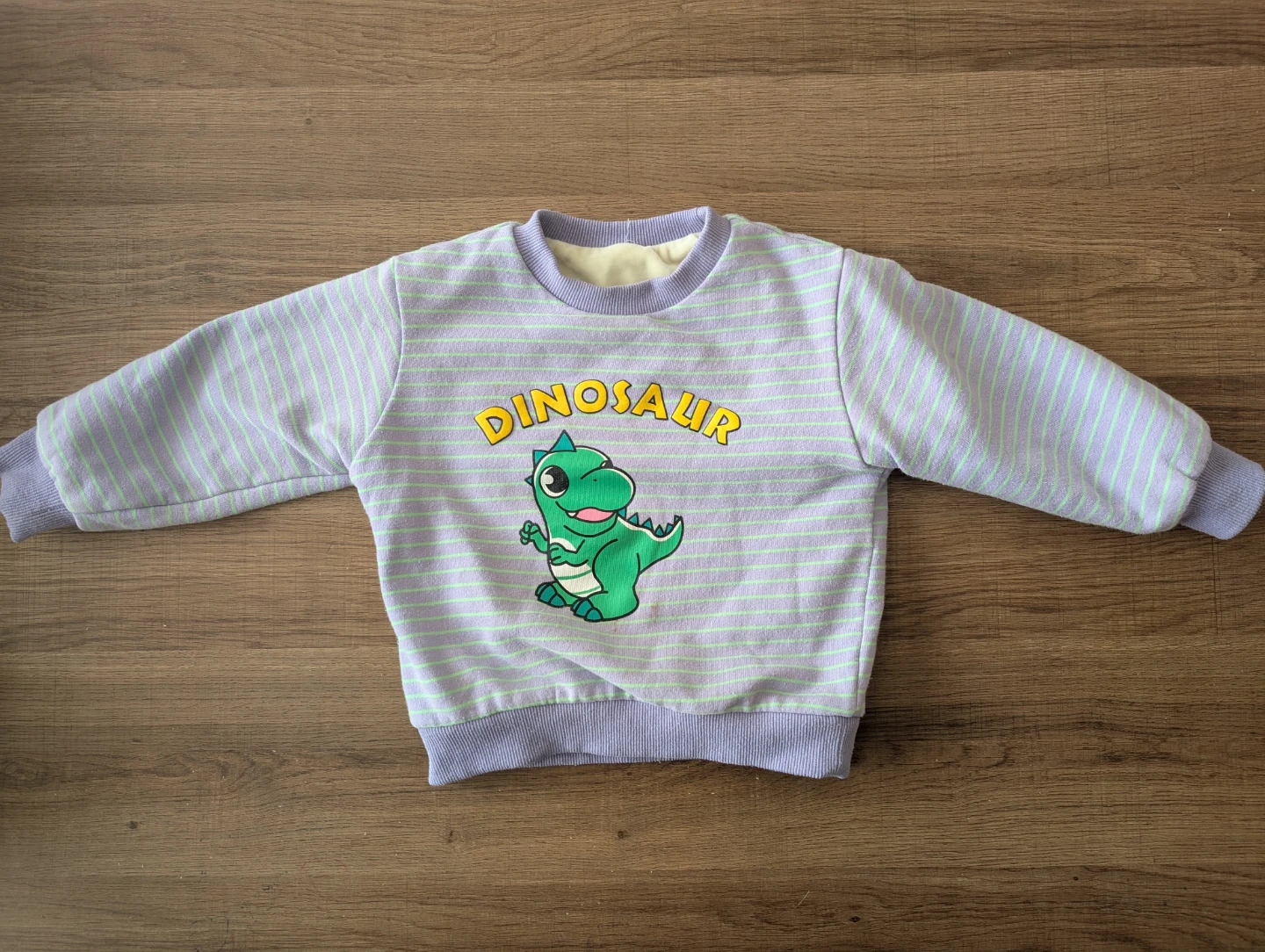 Kids Dinosaur Sweater and Ribbed Turtleneck Set