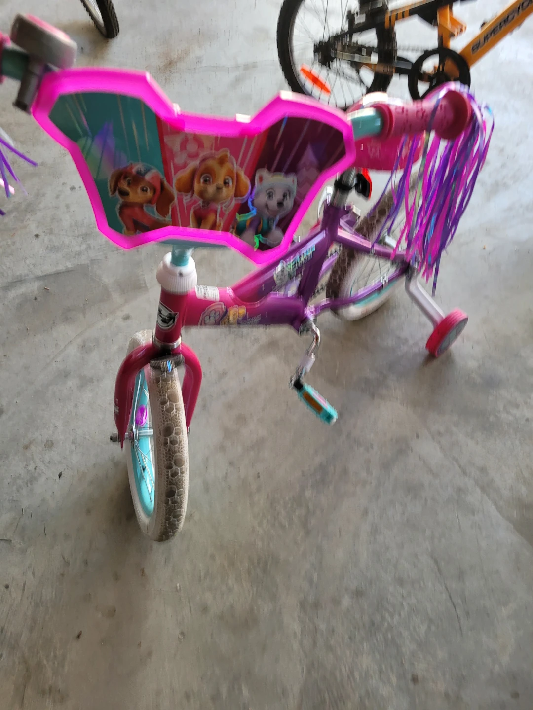 Paw Patrol Toddler Bike with Training Wheels