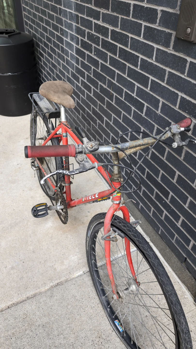 Miele Vintage MTB - photo 2