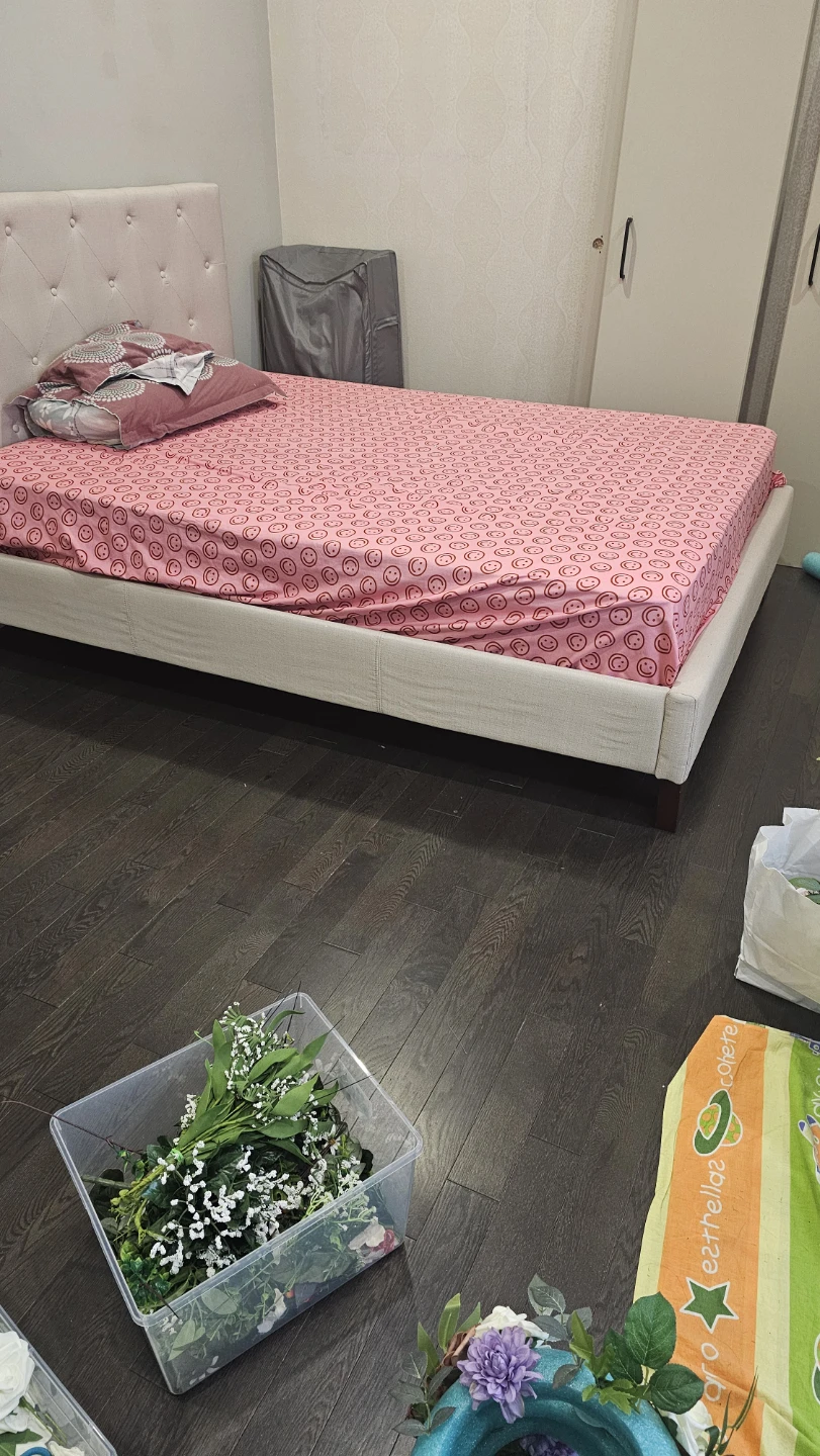 Organic Cotton Mattress with bes