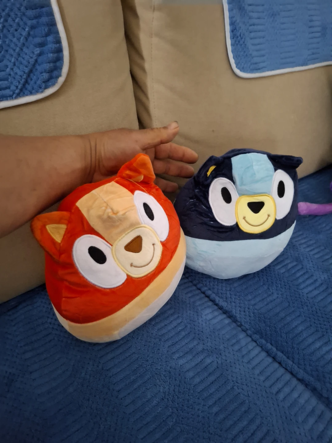 Bluey & Bingo Plush Toys