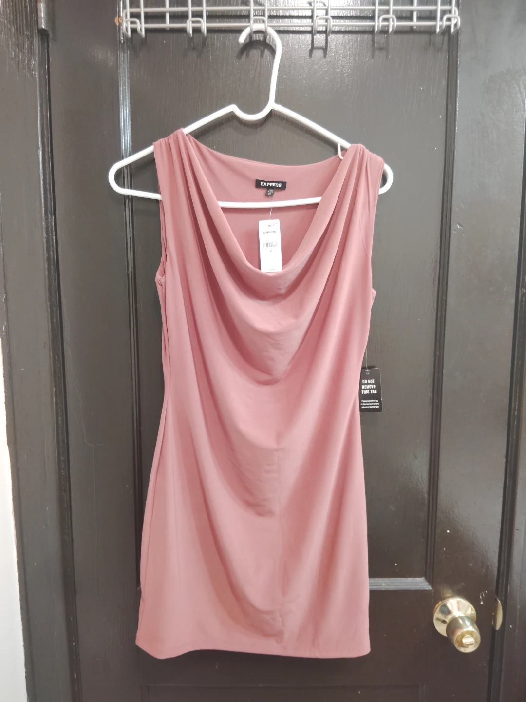 Express rose dress