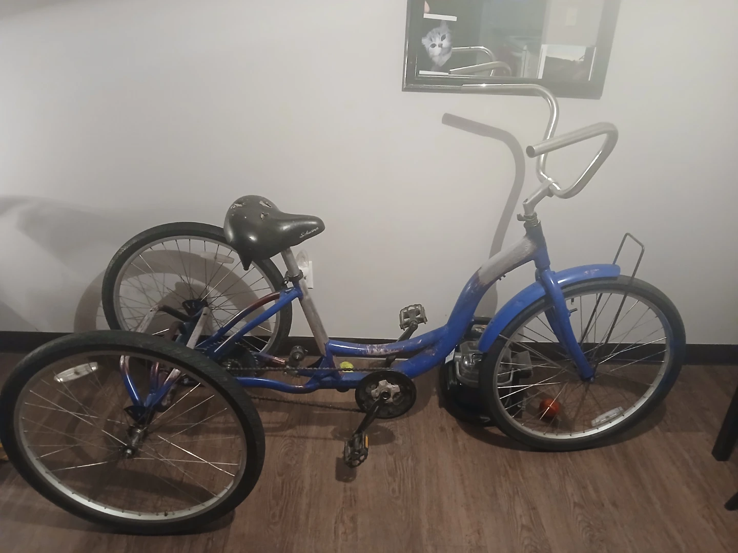 Schwinn Blue Tricycle
