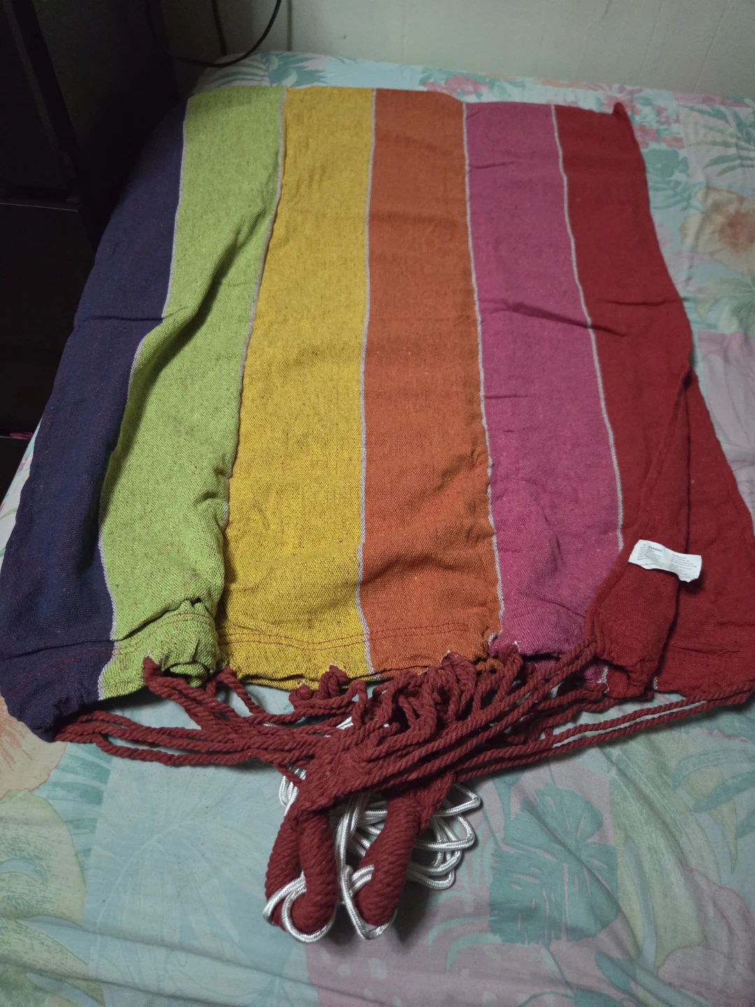 Rainbow Striped Hammock
