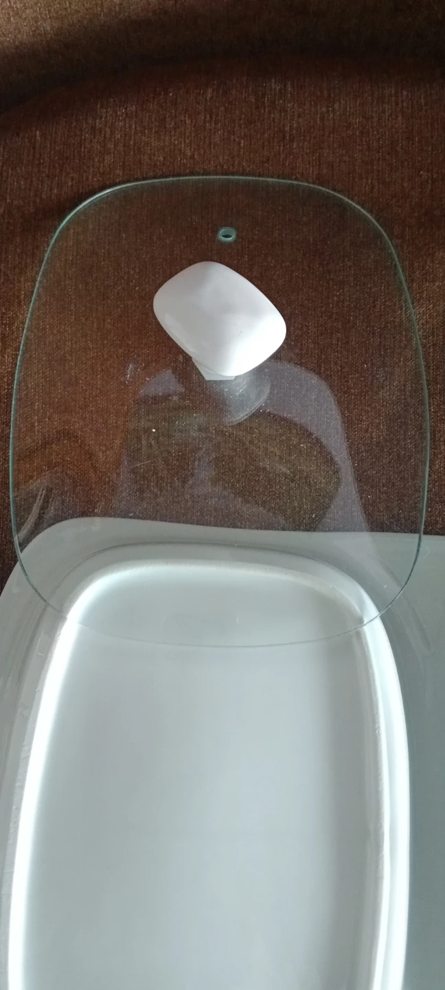 Divided Serving Dish with Glass Lids - photo 4