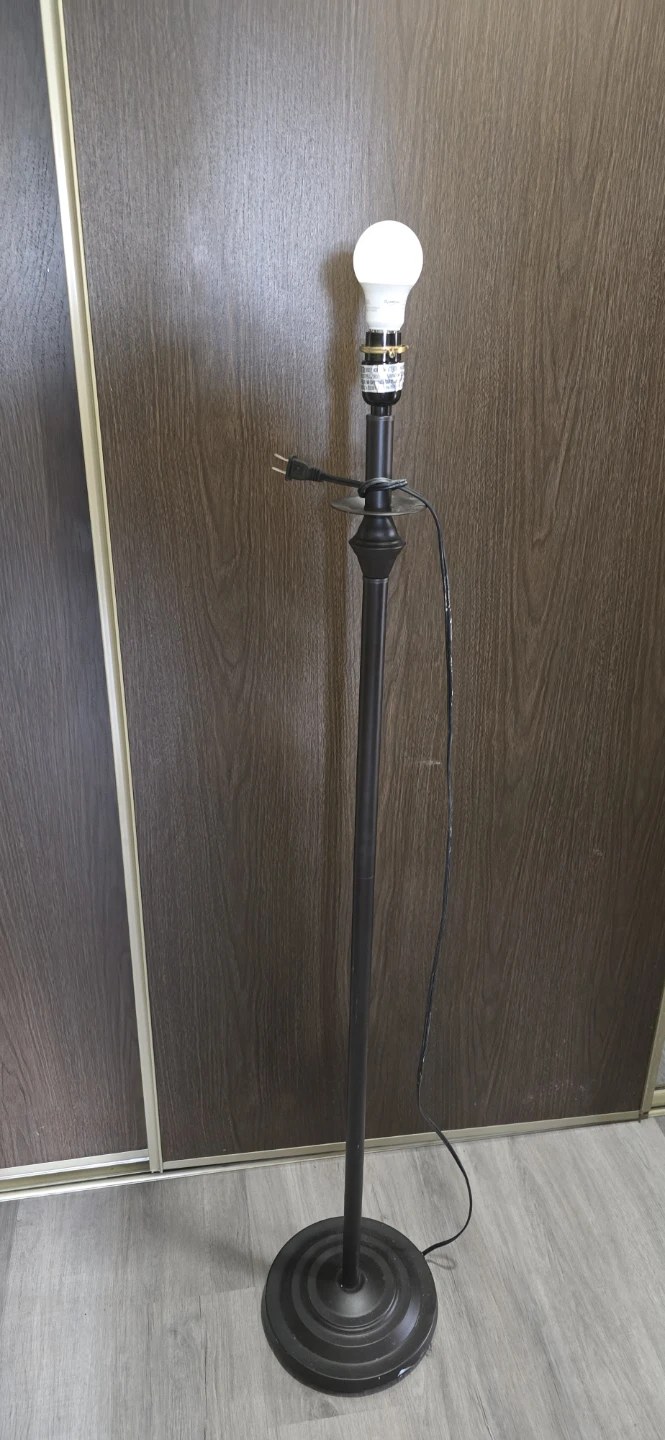 Floor Lamp with LED Bulb