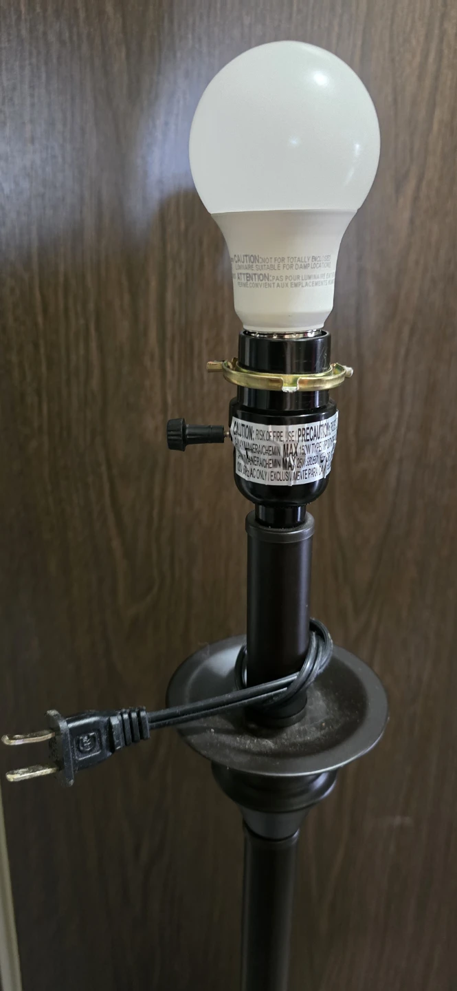 Floor Lamp with LED Bulb - photo 2