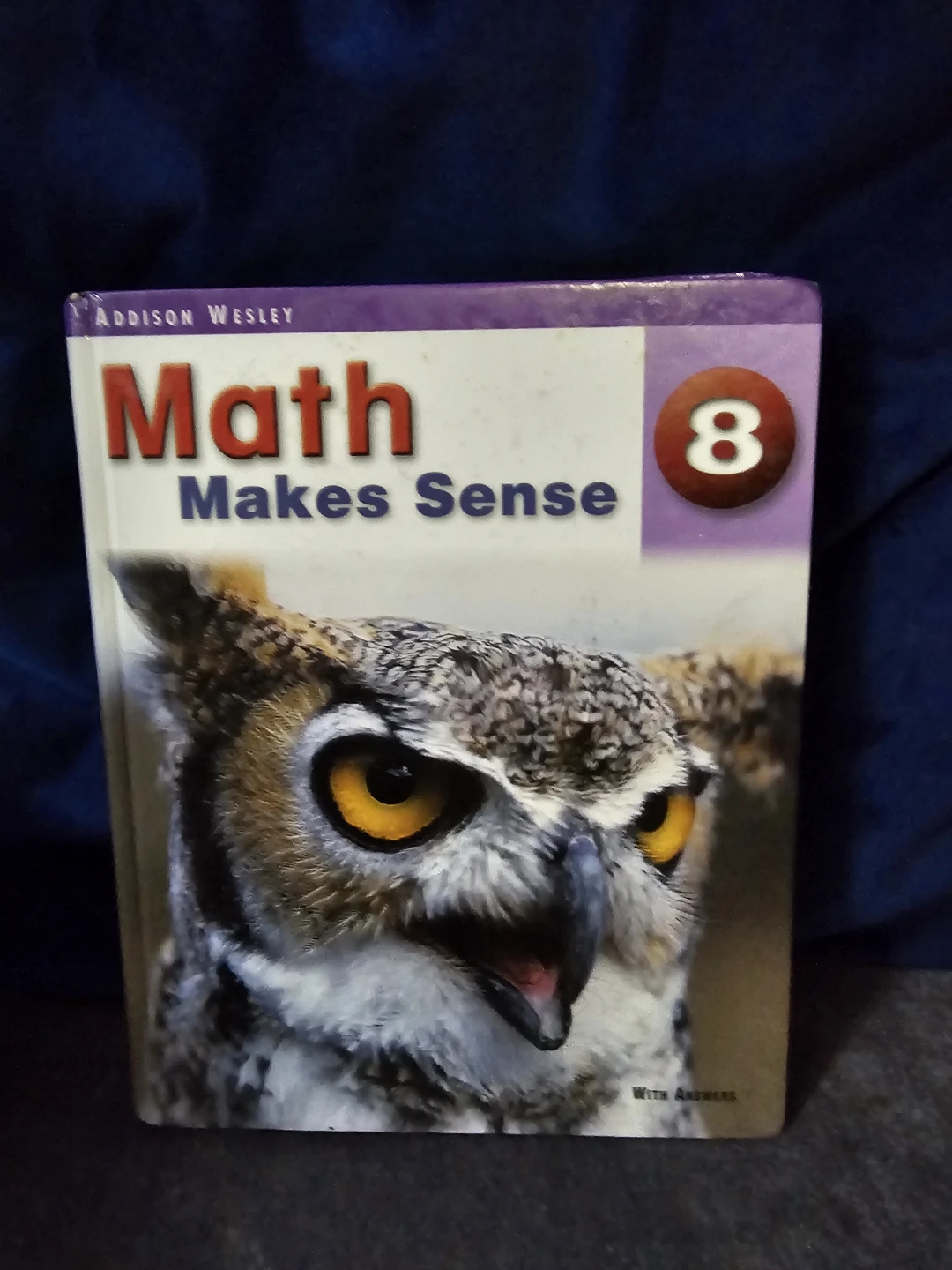 Addison Wesley Math Makes Sense 8 Textbook