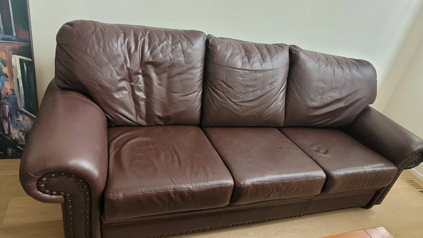Rawhide Genuine Leather Sofa - Brown - photo 5