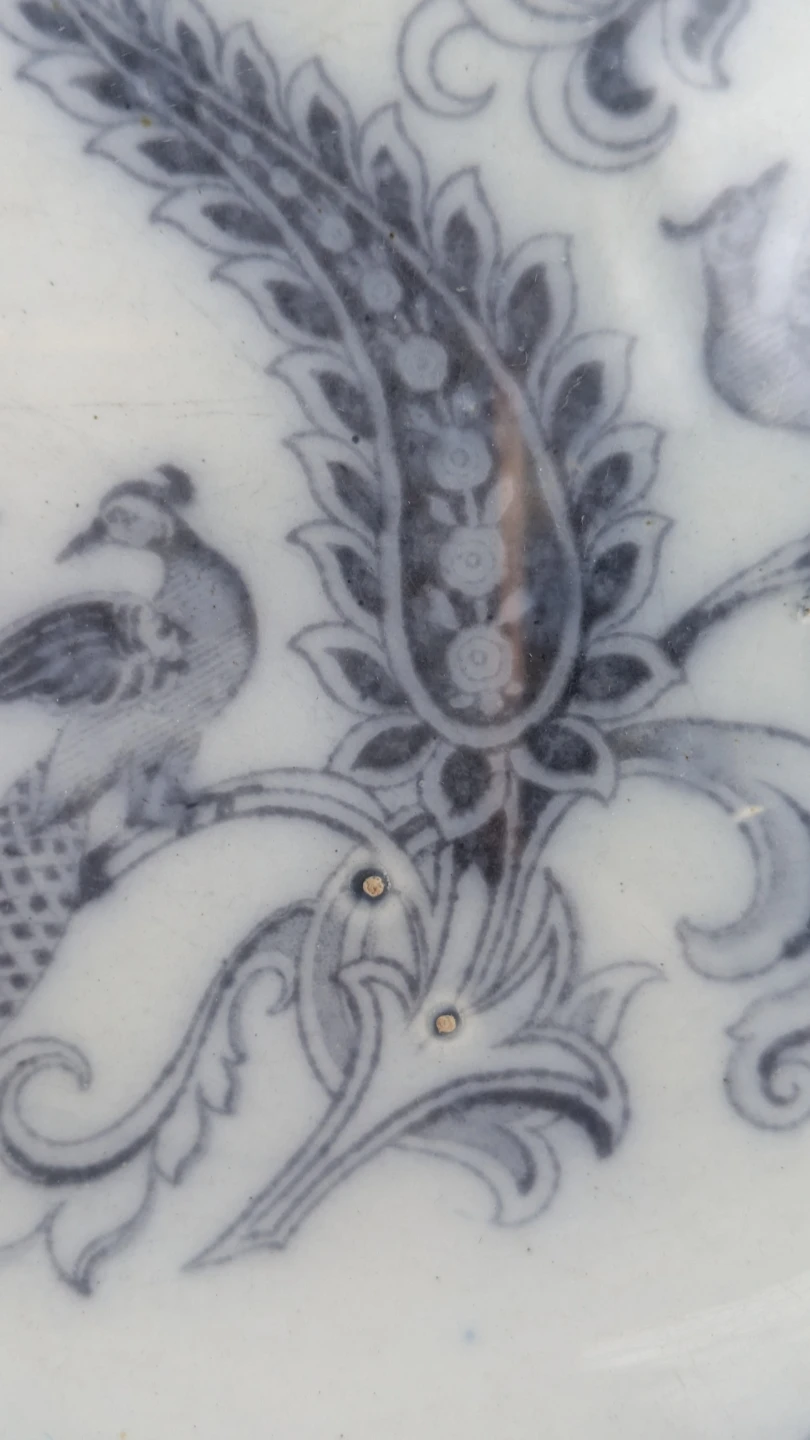 RARE 19th Century Mulberry Peacock Ironstone Plate