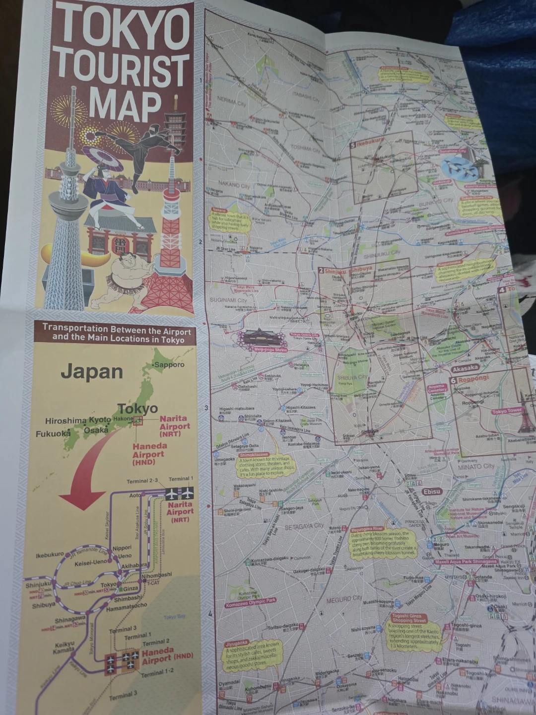 Shiba Inu "Japan" Socks & Tokyo Tourist Map - photo 3