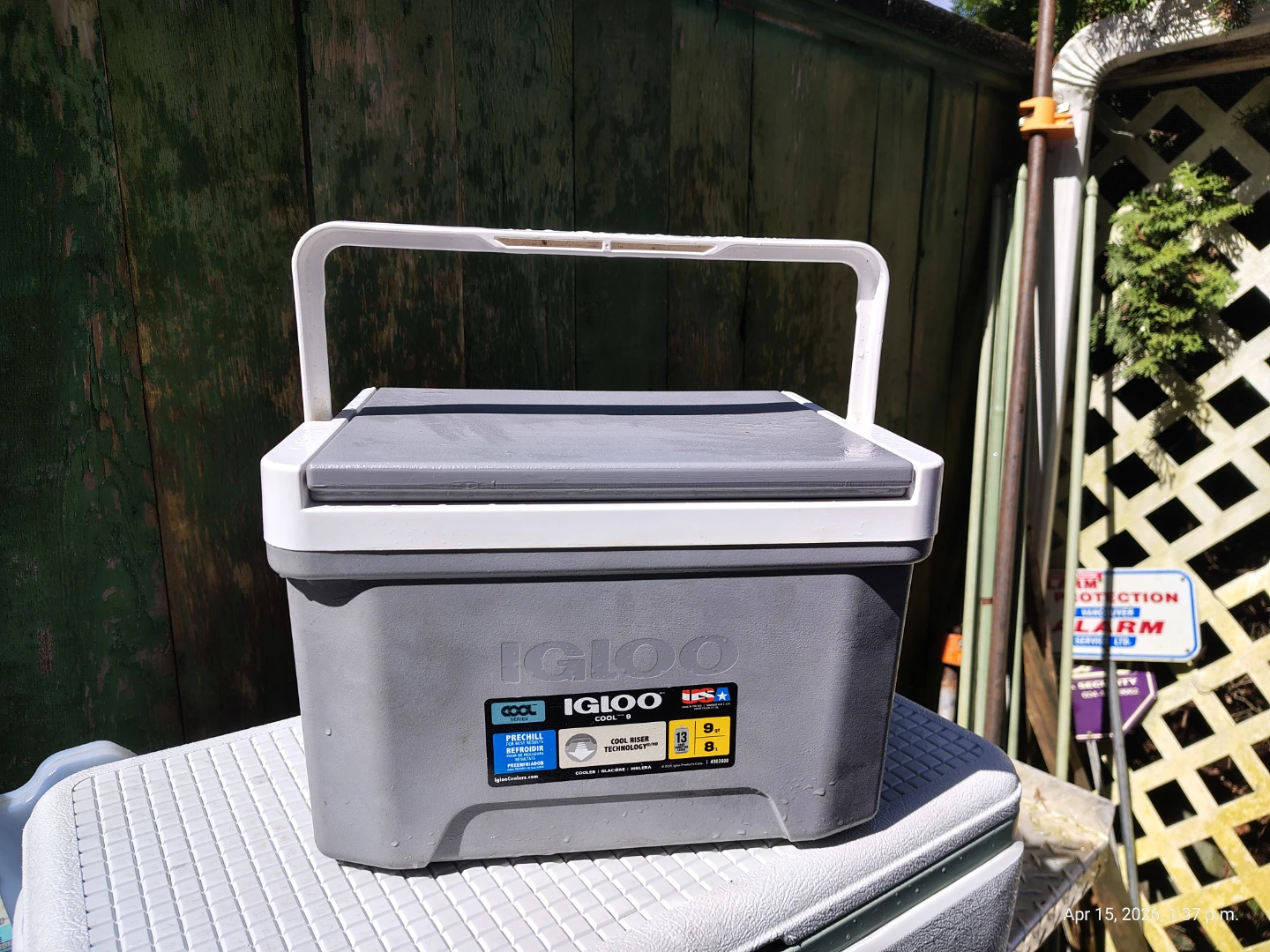 IGLOO Modern Lunch Cooler 9 Cans 🥕