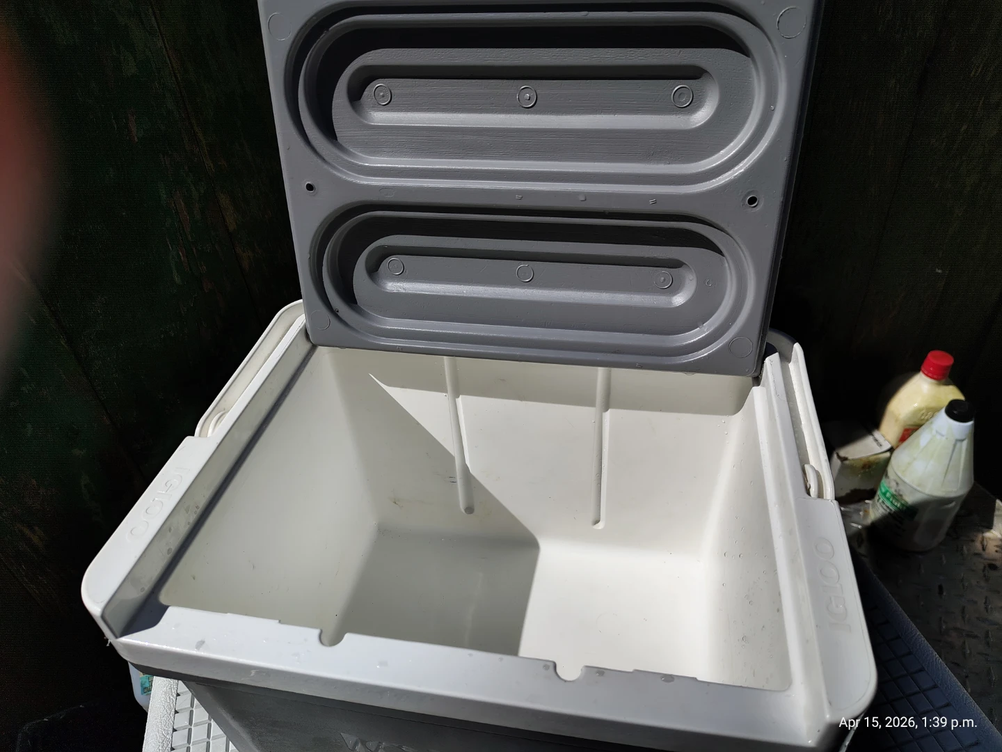 IGLOO Modern Lunch Cooler 9 Cans 🥕 - photo 4